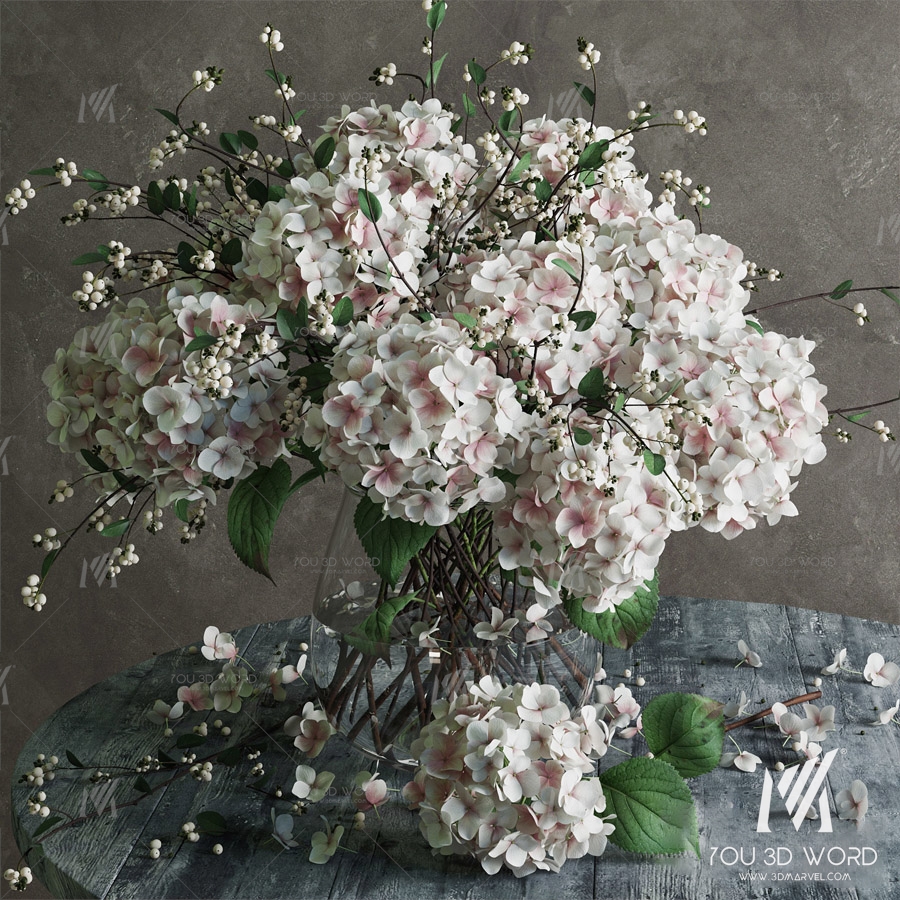 Hydrangea